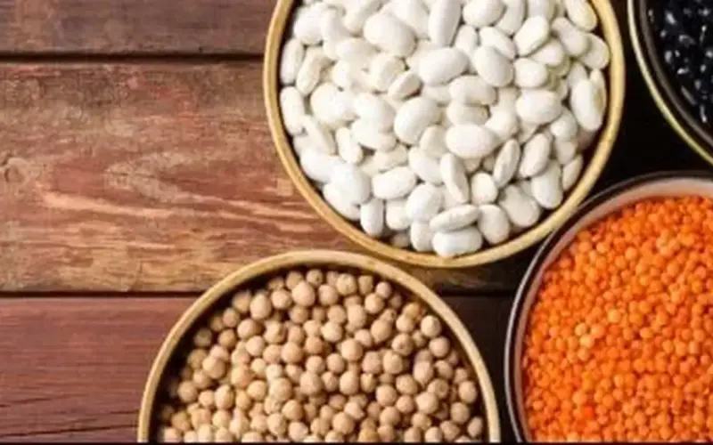 كم سعر العدس؟.. أسعار البقوليات بكفر الشيخ السبت 28 مارس 2026